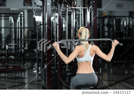 Girl in the gym Girl in the gym 14815117