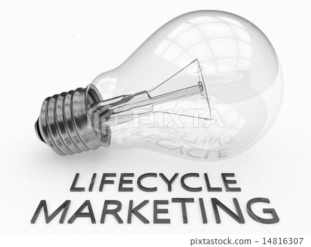 Lifecycle Marketing 14816307