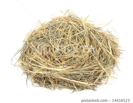 Empty birds nest 14816523