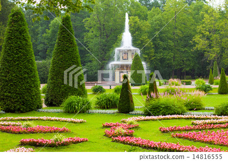 Fountain of the Lower Park in Peterhof Palace. Fountain of the Lower Park in Peterhof Palace. 14816555