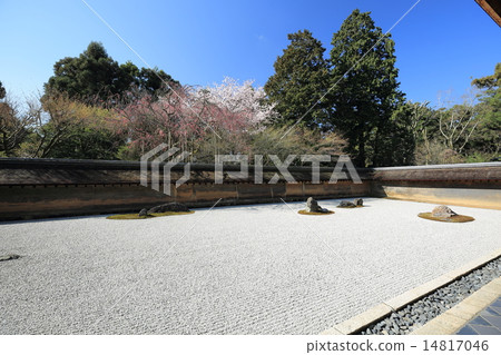 Ryoanji寺花園 Ryoanji寺花園 14817046