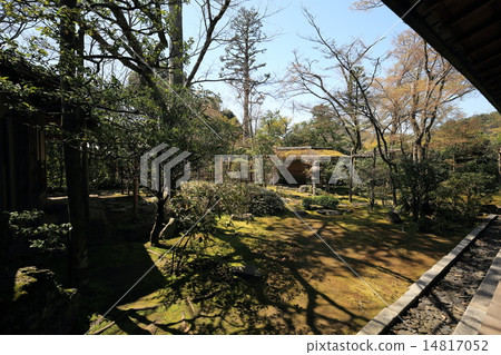 Daishisha戶外花園 Daishisha戶外花園 14817052