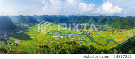 rice field in valley Bac Son, Vietnam 14817831