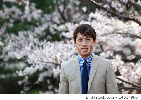 一個男性（Vizcassi商務休閒工作櫻花春天新生活公司員工新學期吉野櫻花） 14817966