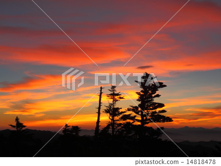 Morning glow 14818478