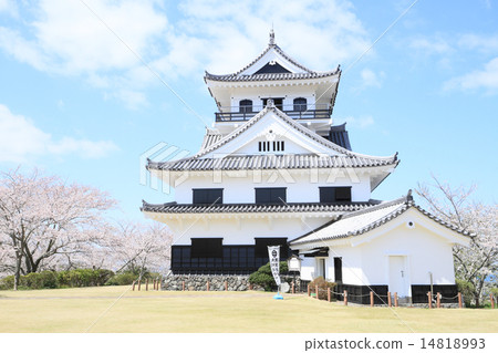 Tateyama城堡在春天 Tateyama城堡在春天 14818993
