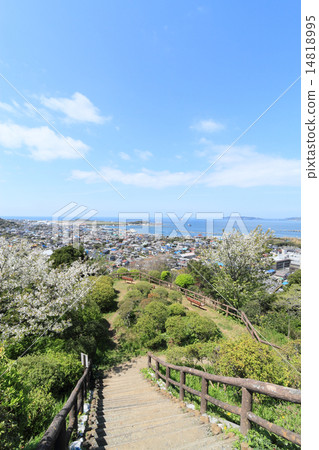 Tateyama-Shiroyama Park Tateyama-Shiroyama Park 14818995