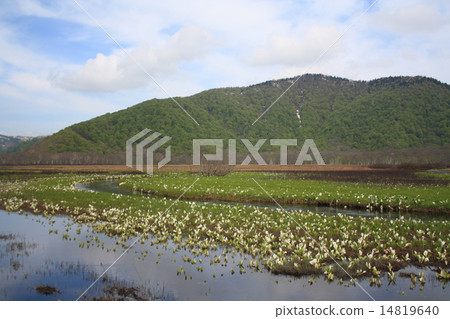 Ozegahara and water basho Ozegahara and water basho 14819640