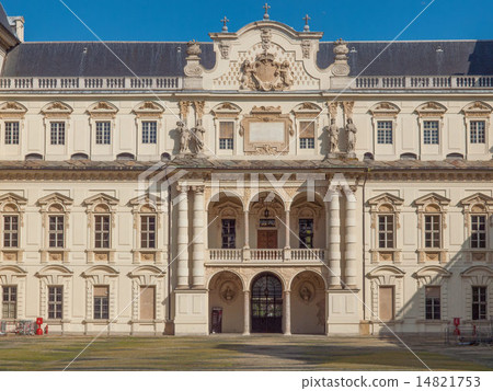 Castello del Valentino 14821753