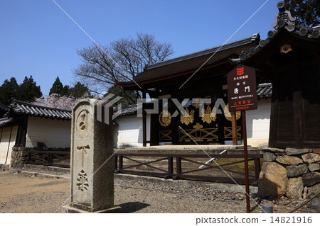 Cherry blossoms at Daigoji 14821916