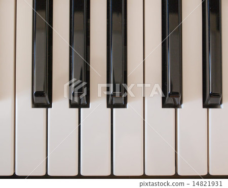 Music keyboard keys Music keyboard keys 14821931
