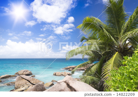 White coral sand on tropical beach. White coral sand on tropical beach. 14822209