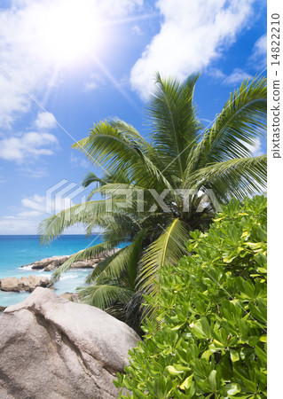 White coral sand on tropical beach. White coral sand on tropical beach. 14822210
