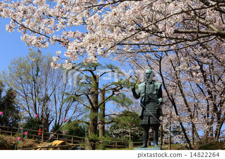 Hamamatsu Castle Park Tokugawa Ieyasu statue's spring 14822264