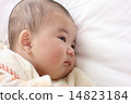 baby   14823184