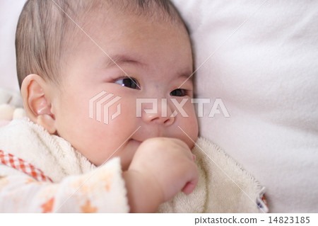 baby   14823185
