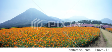 View from the Ikoma Plateau Kirishima mountain range, Yoshigadake 14823218