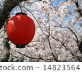 Festival lantern 14823564