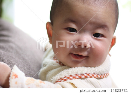 baby   14823781
