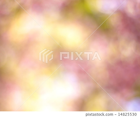 Blurred Background Blurred Background 14825530