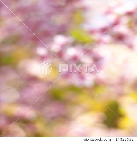 Abstract Blurred background Abstract Blurred background 14825532