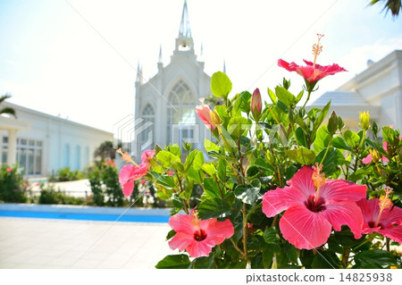 Flowers and church 14825938
