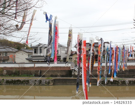 Carp streamer 14826333