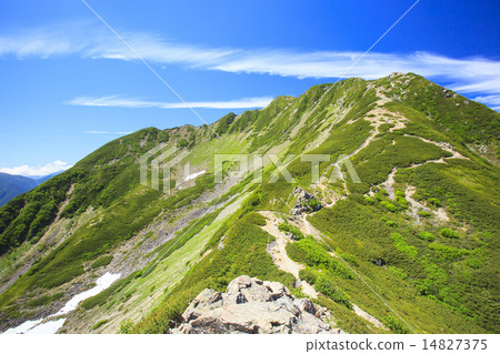 夏天的南阿爾卑斯山Senjogake 夏天的南阿爾卑斯山Senjogake 14827375