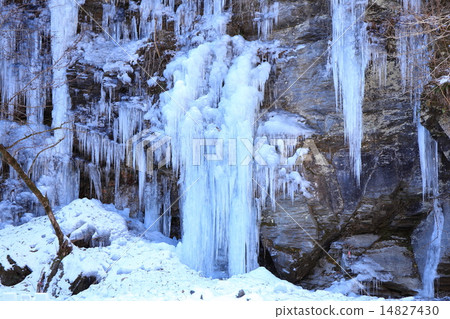 三十錘子冰柱在Chichibu市,埼玉縣 三十錘子冰柱在Chichibu市,埼玉縣 14827430