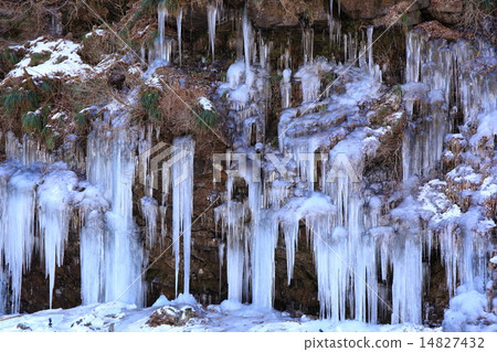 三十錘子冰柱在Chichibu市，埼玉縣 14827432
