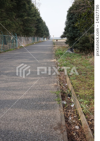 Path littering Path littering 14827786