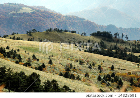 秋天瓶子森林 14828691