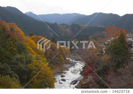 去峽谷 去峽谷 14828716