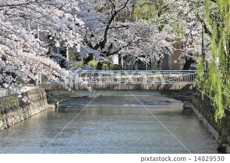 廣瀨川 廣瀨川 14829530