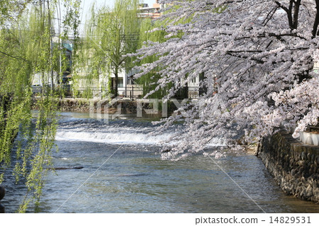 Hirose River Hirose River 14829531