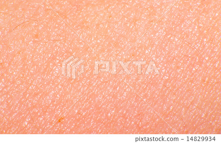 leather texture 14829934