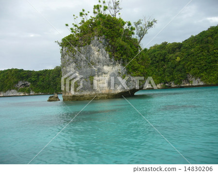 Palau 14830206