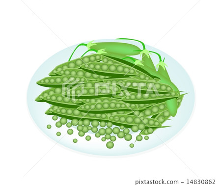 Delicious Sweet Green Pea in White Plate Delicious Sweet Green Pea in White Plate 14830862