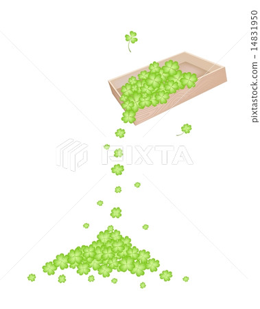 Four Leaf Clovers Dropped from A Wooden Container Four Leaf Clovers Dropped from A Wooden Container 14831950
