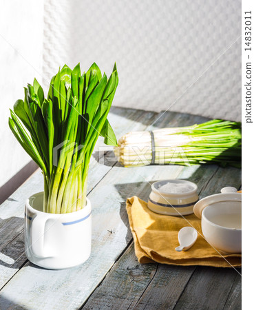 Ramson with sour cream and salt to the light board 14832011