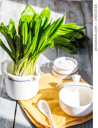Ramson with sour cream and salt to the light board Ramson with sour cream and salt to the light board 14832016