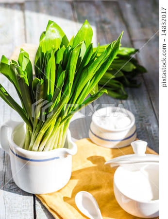 Ramson with sour cream and salt to the light board Ramson with sour cream and salt to the light board 14832017