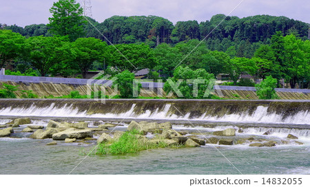 Hirose River in early summer (Sendai City, Miyagi Prefecture) Hirose River in early summer (Sendai City, Miyagi Prefecture) 14832055