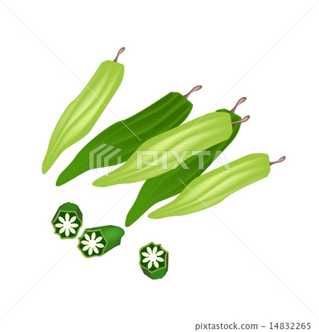 Fresh Okra or Lady Finger on White Background 14832265