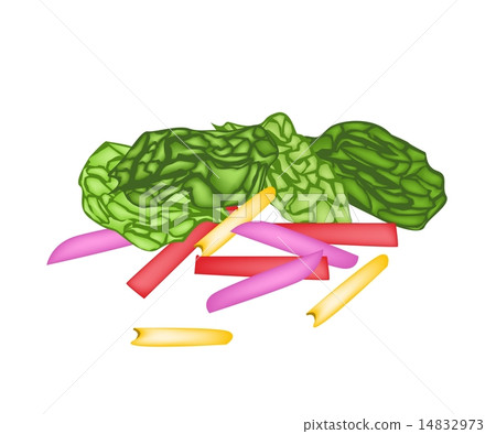 Fresh Rainbow Swiss Chards on White Background 14832973