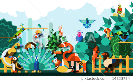 Exotic Birds Background 14833724