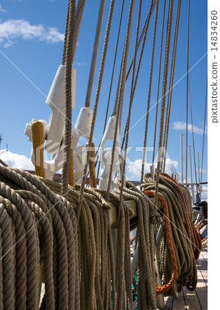 Rigging 14834260