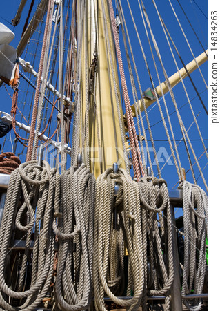 Rigging 14834263