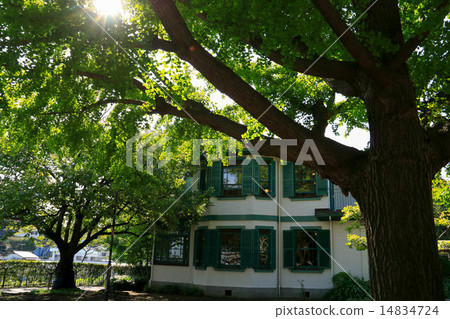 Yokohama Yamate western style building of autumnal weather 14834724