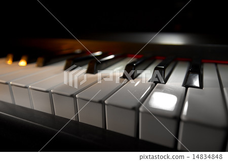Piano keyboard Piano keyboard 14834848